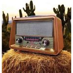 Everton RT-680 Nostaljik Tasarımlı , Modern Özellikli, Bluetooth Radyo | USB – Sd – Fm Destekli - Ahşap