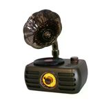 Everton Rt-704 Gramafonlu Bluetooth Fm-usb-tf-aux Şarjlı Nostaljik Radyo