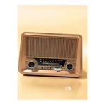 Everton RT-756 Büyük Boy Bluetooth USB+FM+SW+TF Şarjlı Nostaljik Retro Tasarım Hem Aksesuar Hem Radyo