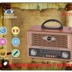 Everton RT-759 Bluetooth Fm-Usb-Tf-Aux Şarjlı Nostaljik Radyo