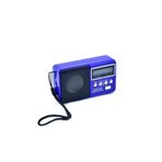 Everton VT-3097 Mavi Radyo