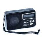Everton VT-3097 Siyah Radyo