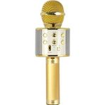 Evervox EVR KRK 02 Gold Karaoke Mikrofon