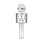Evervox EVR KRK 02 Silver Karaoke Mikrofon