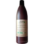 Everygreen 20 V %6 Oksidan Krem 1000 ml