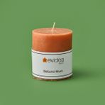 Evidea Deco Belluno Somon 8 cm Mum