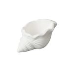 Evidea Deco Nautilius Beyaz 10 cm Dekor