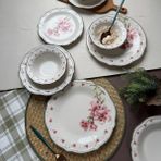 Evidea Kitchen Camellia 24 Parça Renkli Yemek Takımı
