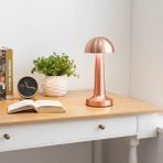 Evidea | Kiwi KLL-1321B Şarjlı Masa Lambası - Rose