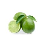 EVİM BAHÇEM Limon Fidanı Yeşil Limon Tahiti Lime Limon 2-3 Yaş(İÇİ DIŞI YEŞİL LİMON) Yeşil Limon
