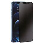 evimdeyokyok Evimdeyokyok Samsung Galaxy S21 3d Antistatik Hayalet Cam Ekran Koruyucu