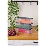 EVLE Derin Dondurucu Saklama Kabı 3'lü Set (3 x 2 Lt), Mavi