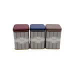 EVLE-Erb25v5 Kare Metal Saklama Kabı 87x87x125, 3 Lü Set, Elegance (Elegance)