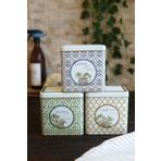 EVLE Erb36u3 Dikdörtgen Saklama Kabı 8 X 12 X 12 Cm, 3lü Set, Forrest