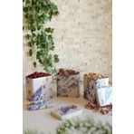 EVLE Erb36u5 Dikdörtgen Saklama Kabı 8 X 12 X 12 Cm, 3 Lü Set, Kint Sugi