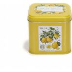 Evle Limon Desenli Kare Çok Amaçlı Metal Erzak Saklama Kabı 0.7 lt - Sarı