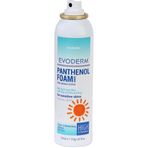 Evoderm 150 ml Panthnenol Foam Nemlendirici Köpük