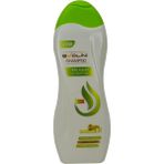 Evolini Yağlı Saçlar için 3 Etkili 600 ml Saç Şampuanı