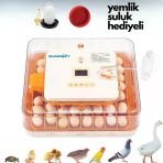 Evonest 56 Yumurtalık Tam Otomatik Kuluçka Makinesi | Turuncu Model
