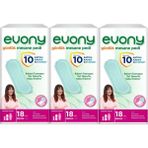 EVONY Günlük Mesane Pedi Ekstra Uzun 54 Adet (3Pk*18) - XL