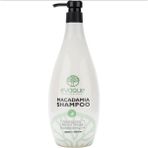 Evoque 1000 ml Macadamia Şampuan