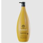 Evoque Hair Color Purification 1000 ml Şampuan