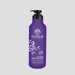 Evoque Silver Sles Free Şampuan 1000 ml