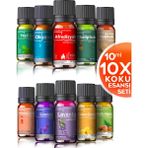 Evove Oda Kokusu Seti 10'lu Esansiyel Uçucu Yağ Buhurdanlık Yağı Difüzör Esansı Aromaterapi Ortam Kokusu 10X10=100 ml