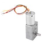 EVTSCAN DC 12/24V Fırçasız Motor Hızı Azaltma Dişli Motoru 4 ~ 150RPM Robot Kilitleri için (24V、23rpm)