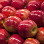 EvveBahçe Tüplü Aşılı Aromatik Geçci Pink Lady Elma Fidanı
