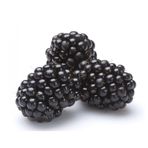 EvveBahçe Tüplü Bol Verimli Boysenberry Böğürtlen Fidanı
