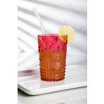 EWS Akrilik Kırmızı Tekli Kısa Bardak & Su Meşrubat Kahve Yanı Bardağı 400 ml ( Cam Değildir )