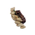 EXCEART Ritim Bilezik Charm Bileklik Kısaca Zil Zili Fındık Kabuğu Bilezik Djembe Için Bilezik Dans Bileziği Bilek Çanı Ahşap Çocuk Tef Müzikli Bileklik