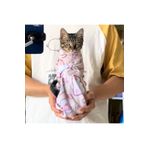 Exelox -Sihirli Kendinden Yapışkanlı Bez Velcro Kedi Kundağı, Makyaj Çantası Vb.