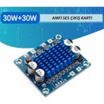 exeo TPA3110 Dijital Stereo Anfi 2x 30W 2.0 Amfi Devresi Kartı Bordu