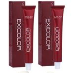 Exicolor 0.01 Yoğun Gri 2x60 ml Saç Boyası