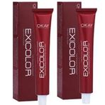 Exicolor 4.20 Patlıcan Moru 2x60 ml Saç Boyası