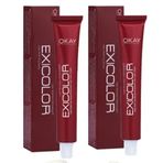 Exicolor 5.46 Açık Kahve Bakır Kızıl 2x60 ml Saç Boyası