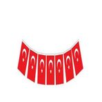 EXİZTİCARET 80 ADET İPLİ ORTA TÜRK BAYRAĞI (8CM-13CM) exizNM812