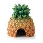 Exo Terra Ex Pineapple Saklanma Alanı