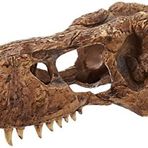 Exo Terra T-Rex kafatası, sürüngenler ve amfibiler için güvenli saklama, büyük, 1 adet (tekli paket)