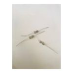 ExperMarket King P 957 P 965 P 950 Blender Elektronik Kart Cam Sigortası - (2 Cm)