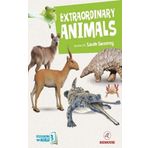 Extraordinary Animals - Sarah Sweeney