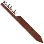 EXTRAVAGANT® "Kohlrabi" bahçe süsü, sebze sobası, sebze, metal, çelik, paslı, hava şartlarına dayanıklı, bahçe, tarh, bitki levhaları, bahçe dekorasyonu için