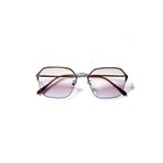 Eye Of Horus EOH63024 C9 Gümüş Kahverengi Kadın Güneş Gözlüğü