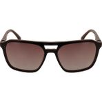 Eyelux Güneş Gözlüğü Eyelux EL06 C3 - Koyu Kahve
