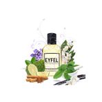 Eyfel Parfüm Eyfel Erkek Parfüm M19 100 ML