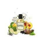Eyfel Parfüm EYFEL ERKEK PARFÜM M73 50 ML