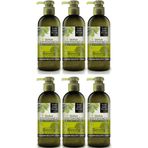 Eyüp Sabri Tuncer 6x250 ml Zeytinyağlı El ve Vücut Losyonu