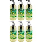 Eyüp Sabri Tuncer Ayvalık Zeytin Çiçeği 6x500 ml Sıvı Sabun
